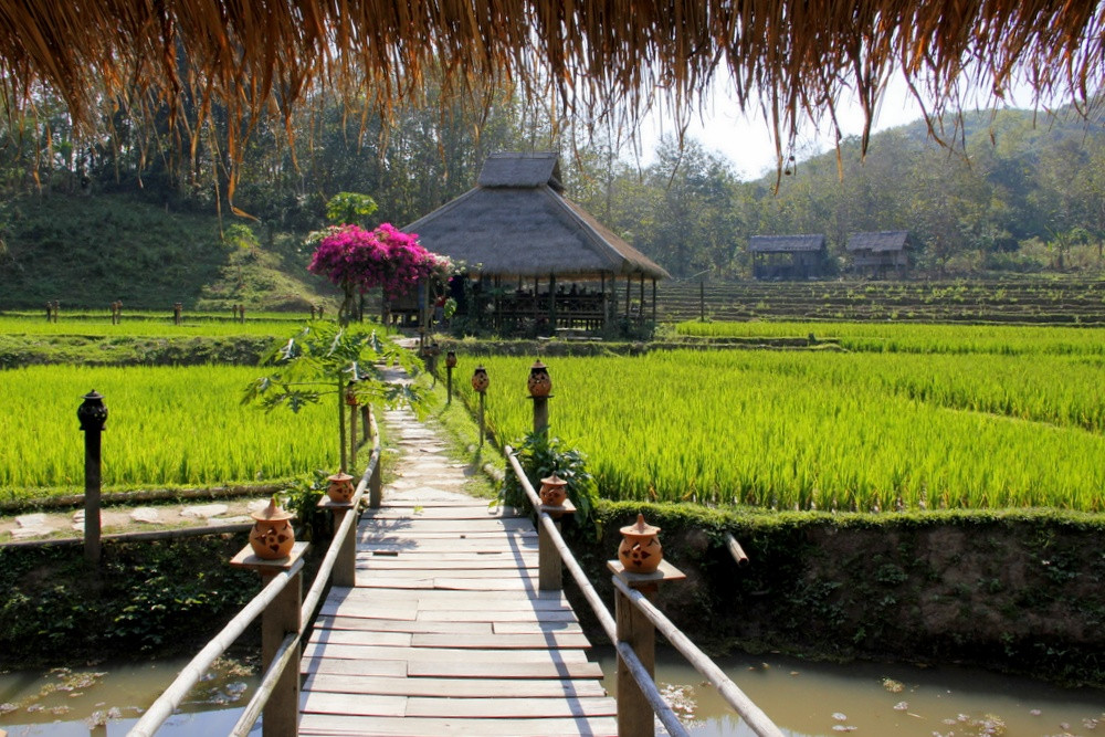 Kamu Lodge Restaurant
